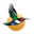 Airlink (SAA) logo